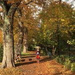 Kurz mal weg im Herbst: Familienurlaub im Harz