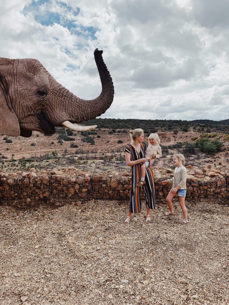 afrika safari mit kindern